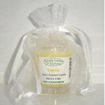  Vanilla candle in a red gift bag